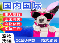 威海机场空运国际宠物托运 【国